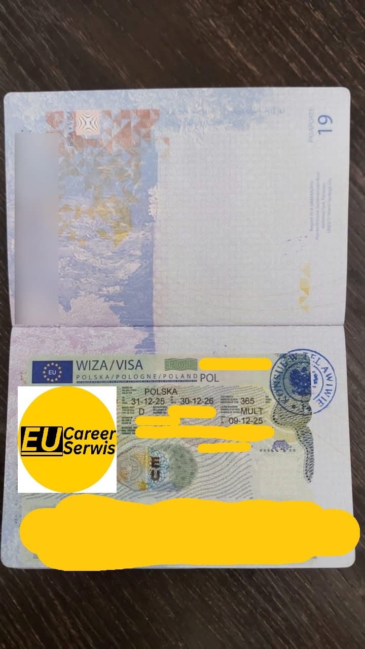 Visa Stamp 3