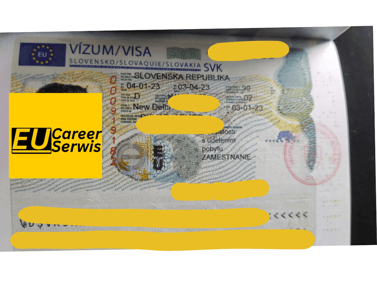 Visa Stamp 3